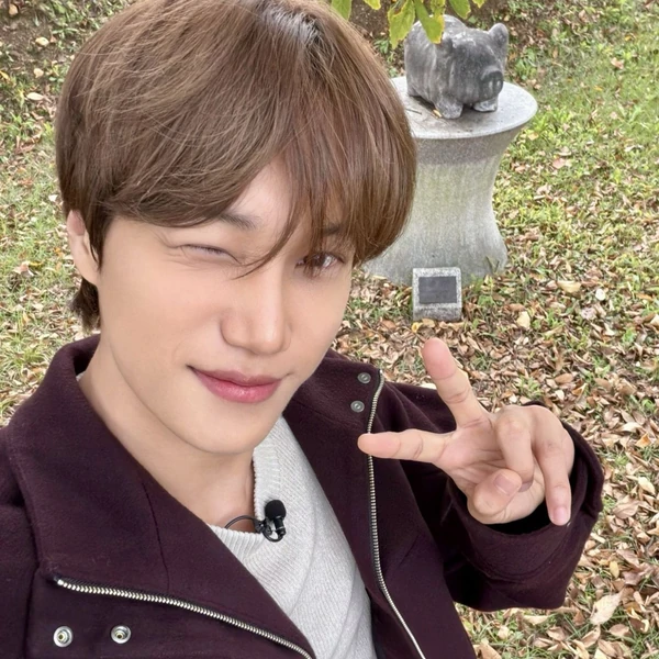 Today's Most Loved Kai (EXO)