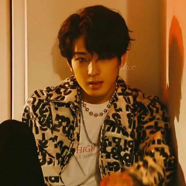 Fans' Pick: Best Moment of Wonwoo (SEVENTEEN)