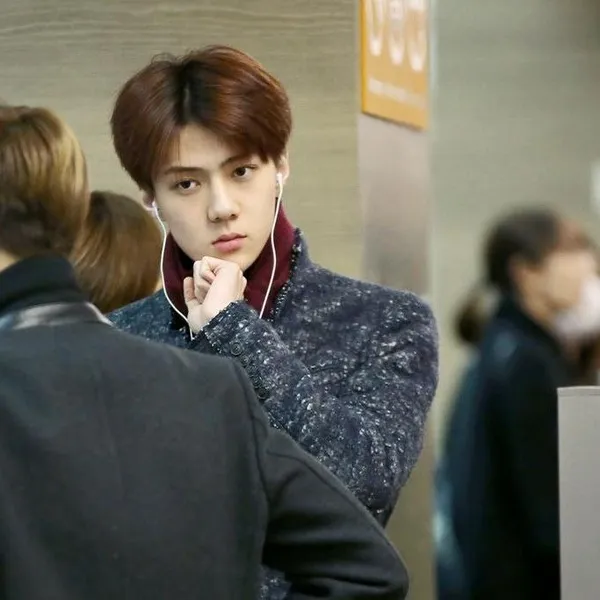 팬들이 뽑은 세훈 (EXO) 최고의 순간