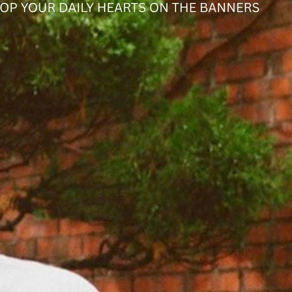 팬들이 뽑은 성훈 (ENHYPEN) 최고의 순간