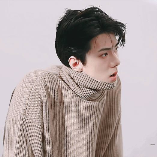 팬들이 뽑은 세훈 (EXO) 최고의 순간