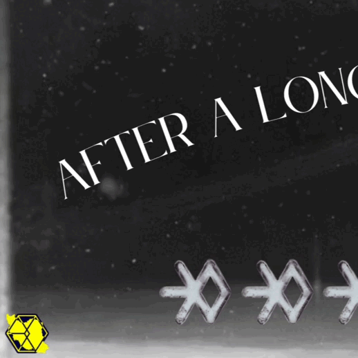 EXO 팬심 가득한 인기 사진