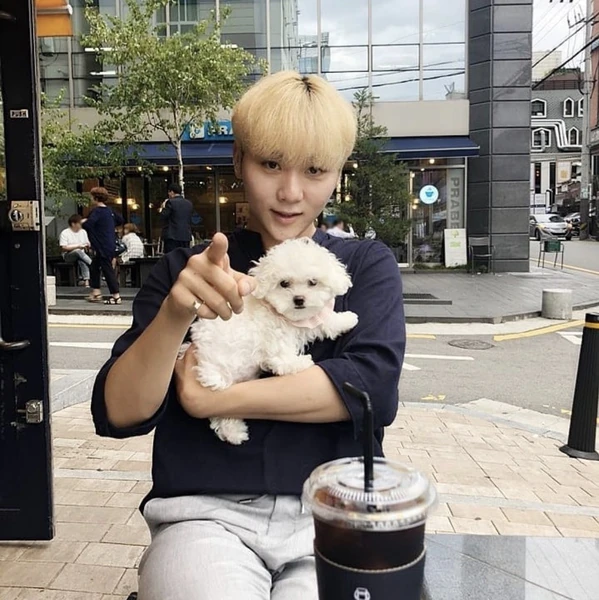 Today's Most Loved SEVENTEEN