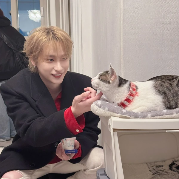 Fans' Pick: Best Moment of Nine (OnlyOneOf)