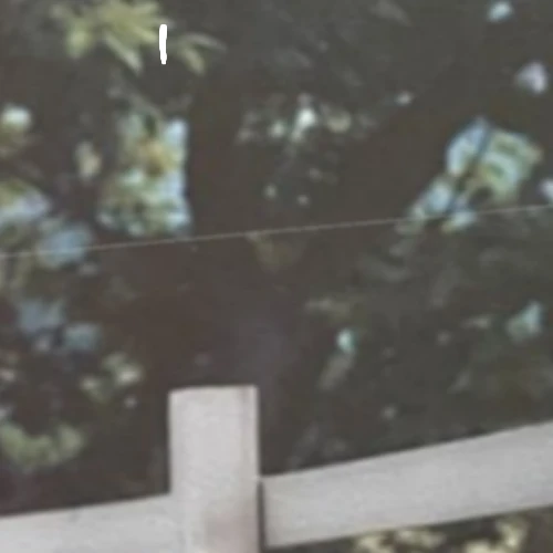 팬들이 뽑은 한동 (드림캐쳐) 최고의 순간