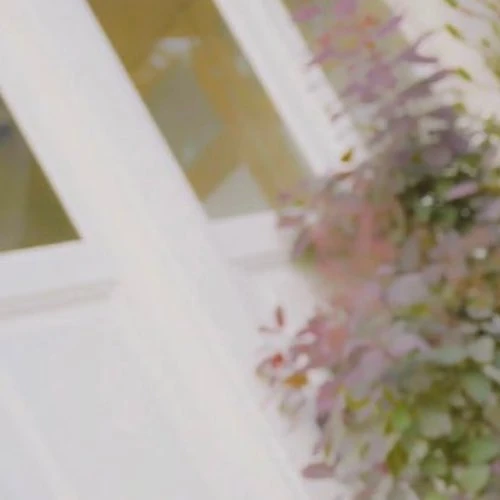 Fans' Pick: Best Moment of Jake (ENHYPEN)