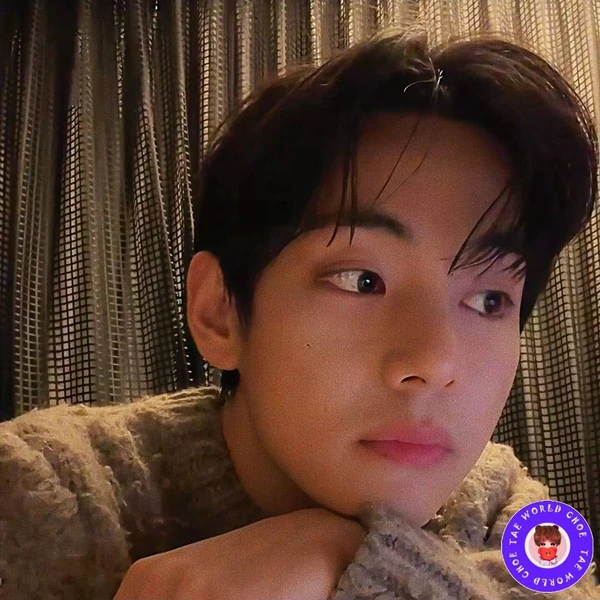 今天最受喜爱的V (防弹少年团)