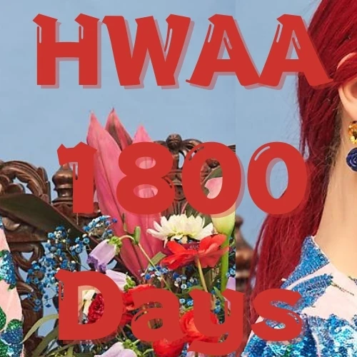 今日最受喜愛的米妮 (i-dle)