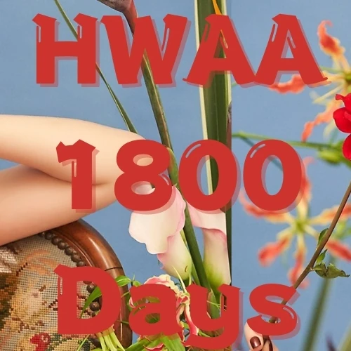 Fans' Pick: Best Moment of Shuhua (i-dle)