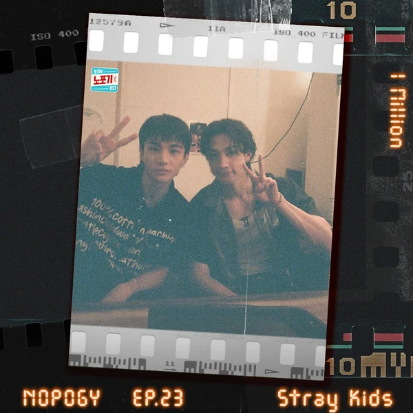 粉絲票選的方燦 (Stray Kids)最佳瞬間