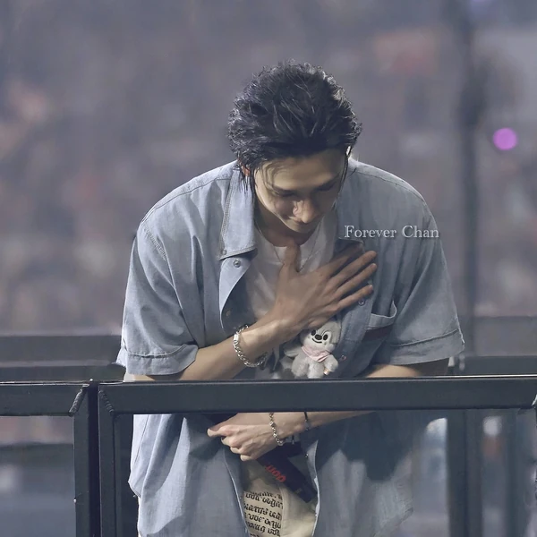 今日最受喜愛的方燦 (Stray Kids)