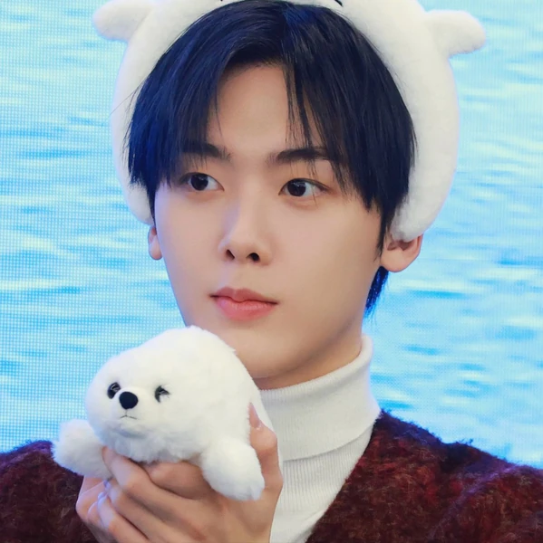 Today's Most Loved Sanha (ASTRO)