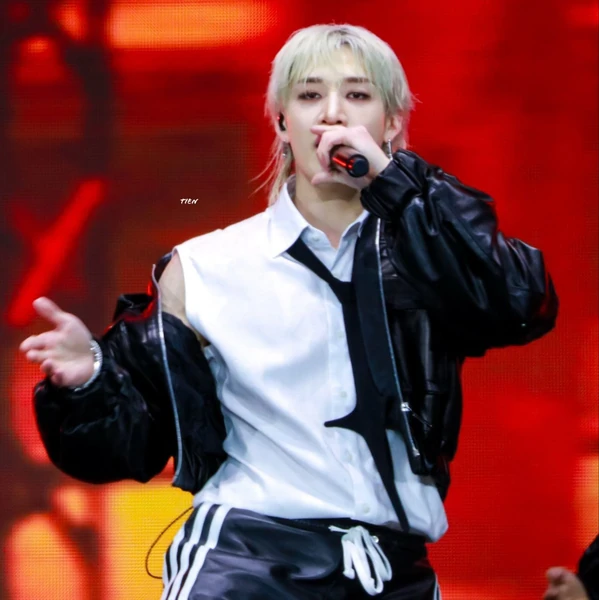 充滿粉絲愛意的方燦 (Stray Kids)人氣照片