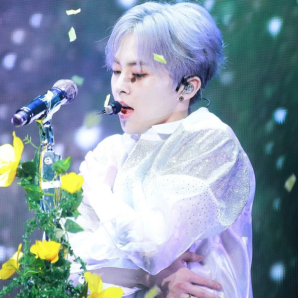 充滿粉絲愛意的Xiumin (EXO)人氣照片