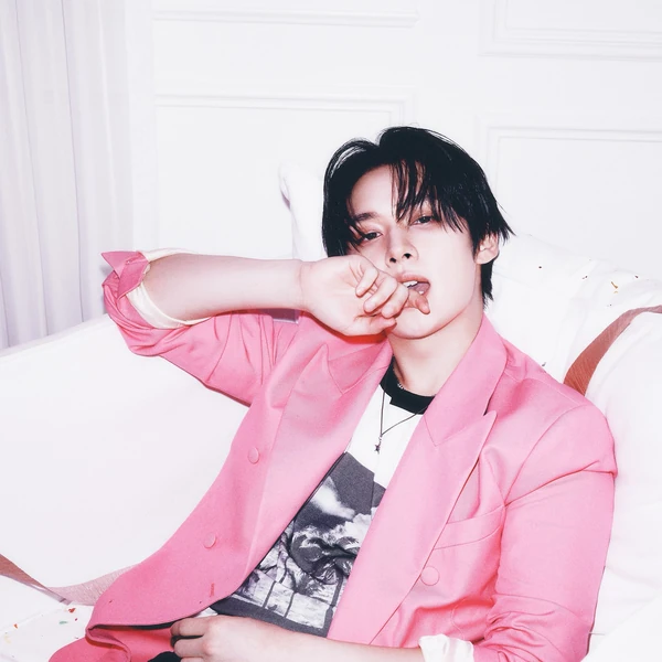 充滿粉絲愛意的Lee Know (Stray Kids)人氣照片