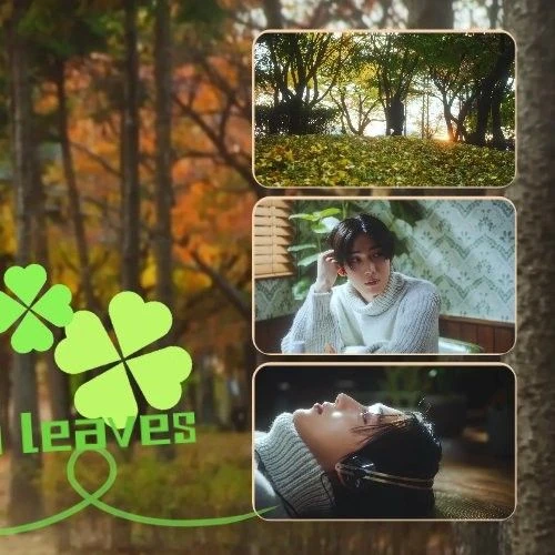 팬들이 뽑은 선우 (ENHYPEN) 최고의 순간