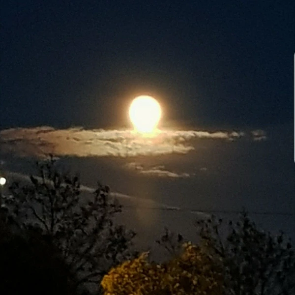 Top Photo Full of Moonbin (ASTRO) Love