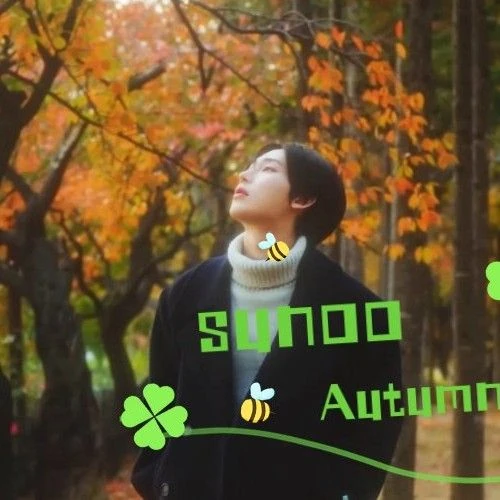 선우 (ENHYPEN) 팬심 가득한 인기 사진