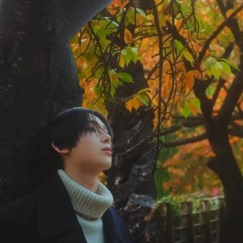 오늘 가장 사랑받은 선우 (ENHYPEN)의 모습