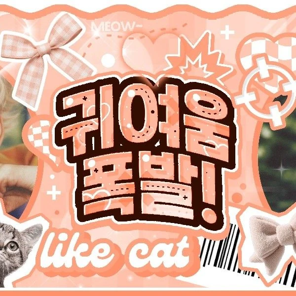 Top Photo Full of O.de (Xdinary Heroes) Love