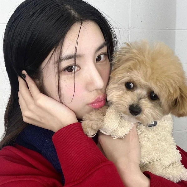 今日最受喜愛的權恩妃