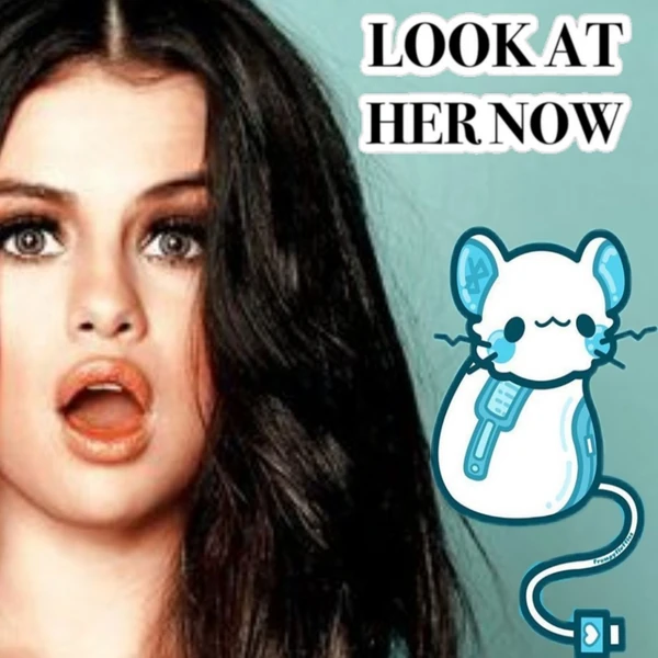 粉絲票選的賽琳娜·戈麥斯最佳瞬間