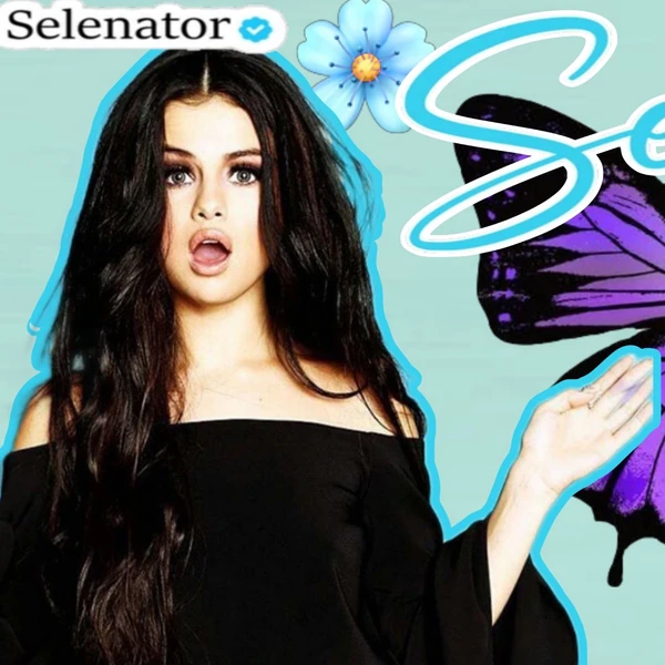 充滿粉絲愛意的賽琳娜·戈麥斯人氣照片