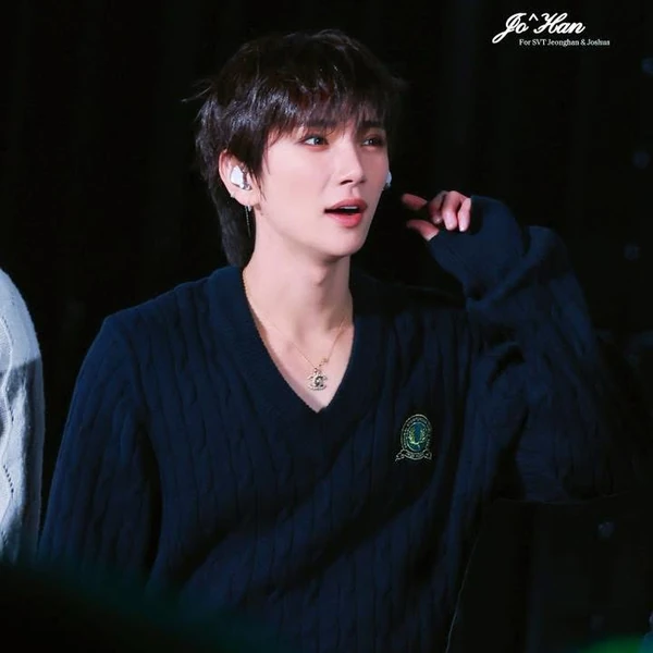 ファンが選んだジョシュア (SEVENTEEN)最高の瞬間