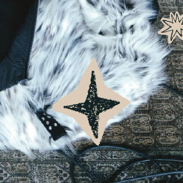 Today's Most Loved HAN (Stray Kids)