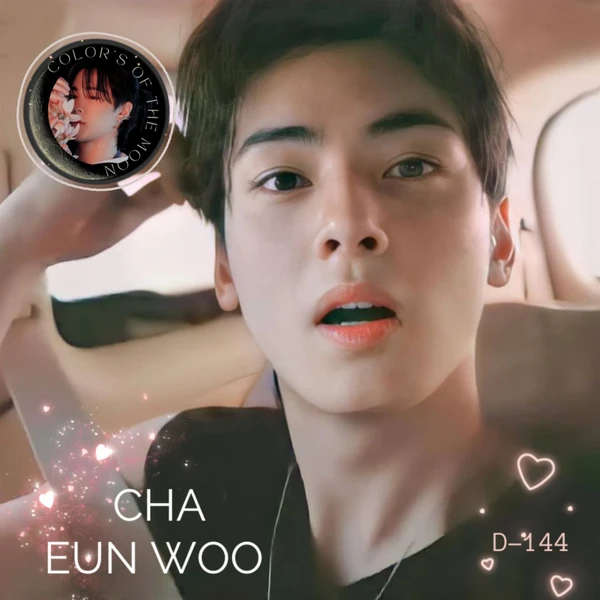 차은우 (아스트로) 팬심 가득한 인기 사진