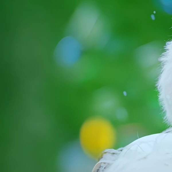 Popular profile picture of Nana (UNIS) loved by fans