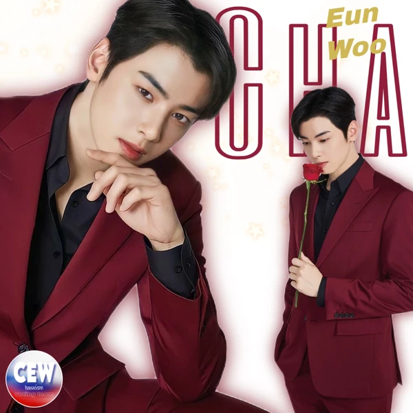 팬들이 뽑은 차은우 (아스트로) 최고의 순간