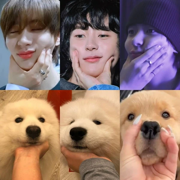 Fans' Pick: Best Moment of Anton (RIIZE)