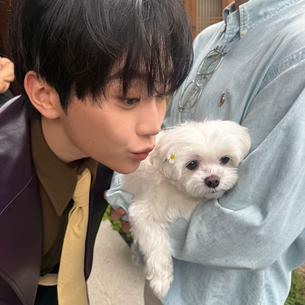 오늘 가장 사랑받은 세븐틴의 모습