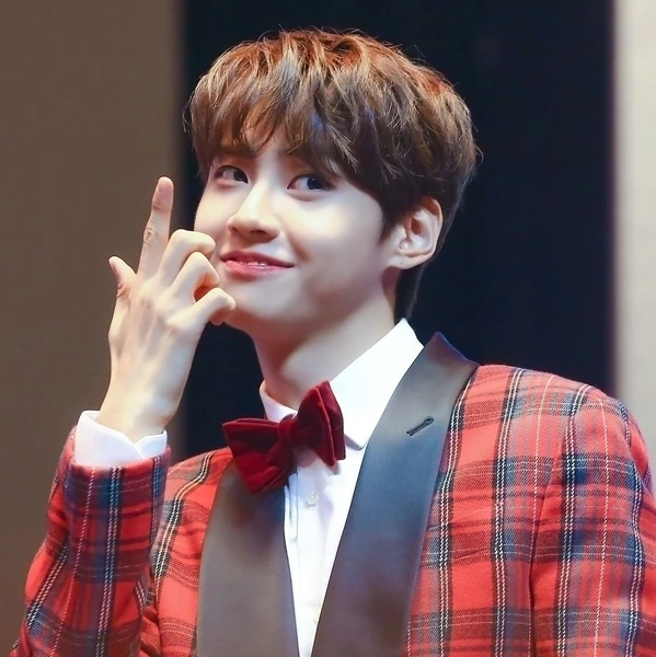 充滿粉絲愛意的李鎭赫人氣照片