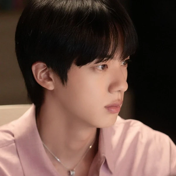 Shining profile picture of Jin (BTS) on today's Choeaedol