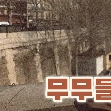 Fans' Pick: Best Moment of Hwasa (MAMAMOO)