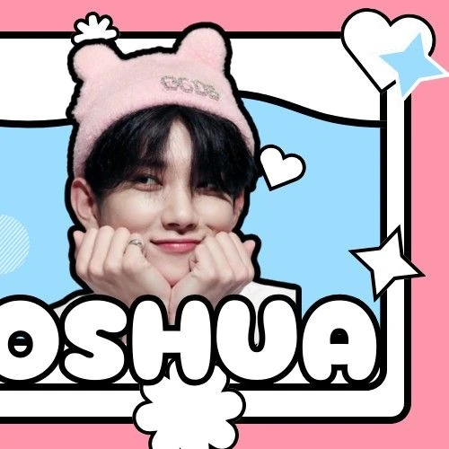 充满粉丝爱意的SEVENTEEN人气照片