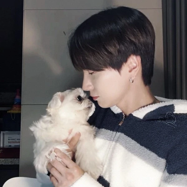 粉絲票選的利特 (Super Junior)最佳瞬間