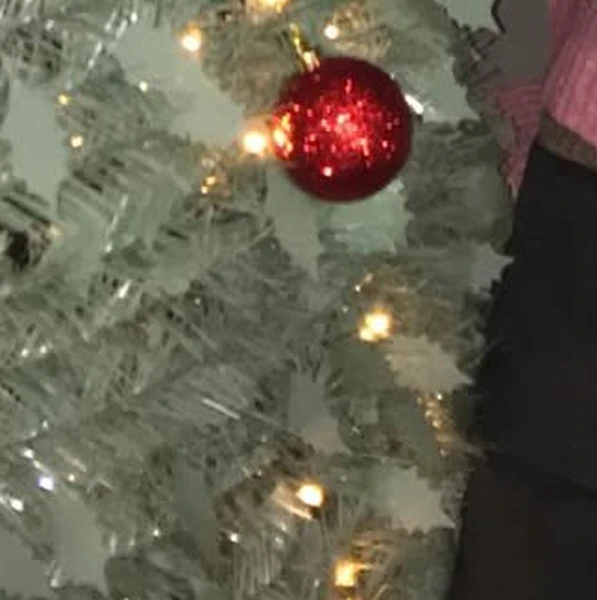 Today's Most Loved Go Won (Loossemble)