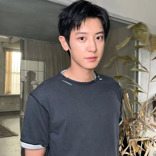 充滿粉絲愛意的燦烈 (EXO)人氣照片