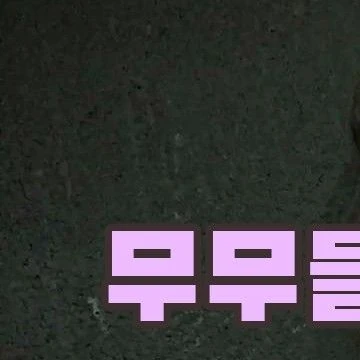 Today's Most Loved Wheein (MAMAMOO)