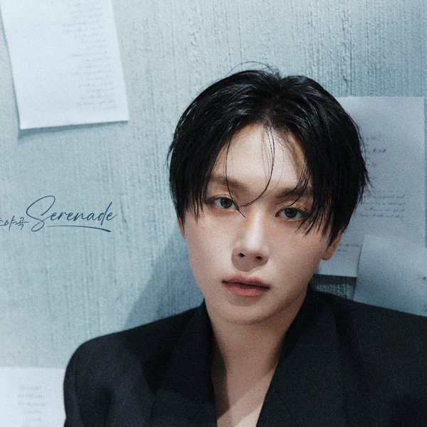 세븐틴 팬심 가득한 인기 사진