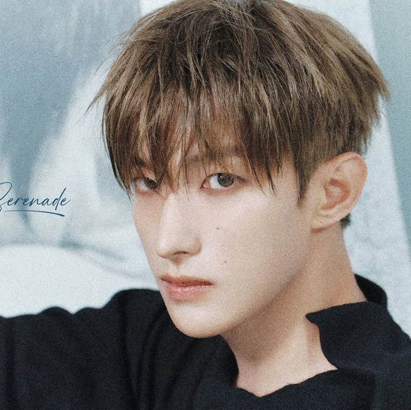 세븐틴 팬심 가득한 인기 사진