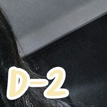 今日最受喜愛的輝人 (MAMAMOO)