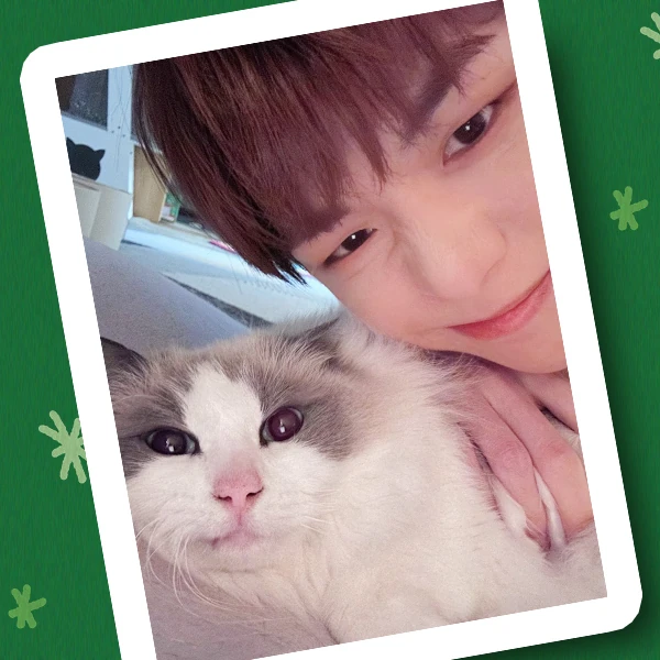 Signature photo of Kang Daniel capturing their charm