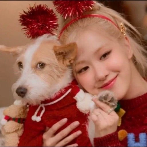 粉絲票選的ROSÉ (BLACKPINK)最佳瞬間