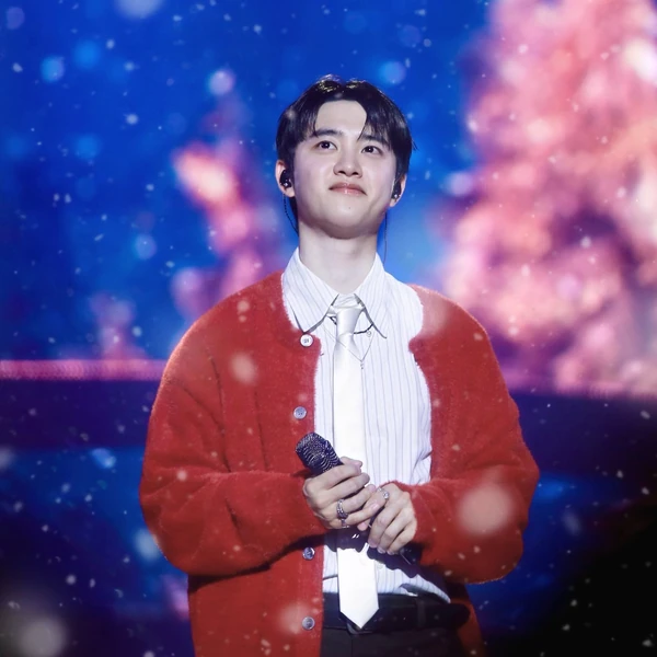充滿粉絲愛意的D.O. (EXO)人氣照片