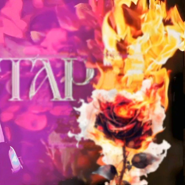 Fans' Pick: Best Moment of Soodam (SECRET NUMBER)