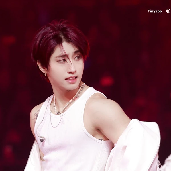 Today's Most Loved HAN (Stray Kids)